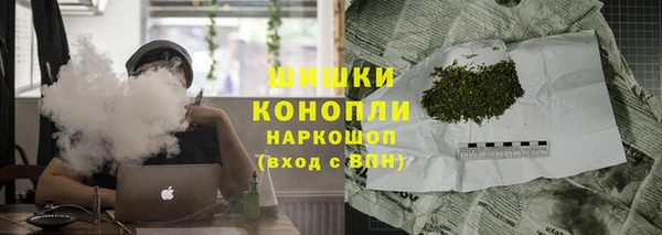 spice Вязьма
