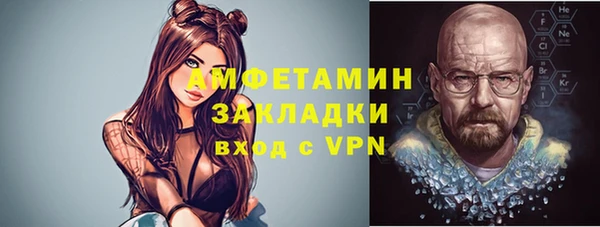 индика Волосово