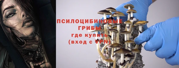 spice Вязьма