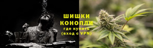 индика Волосово