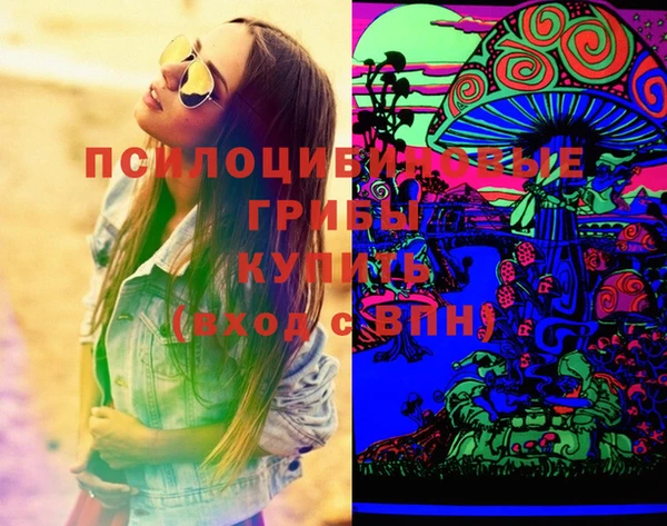 spice Вязьма