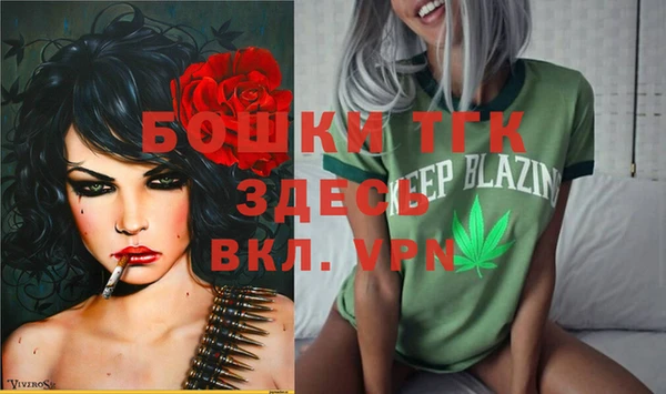 индика Волосово