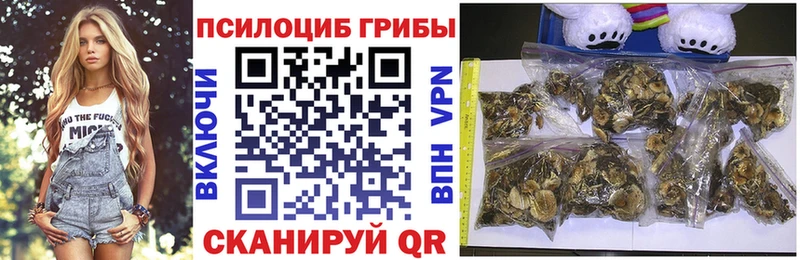 Псилоцибиновые грибы мицелий  Камызяк 
